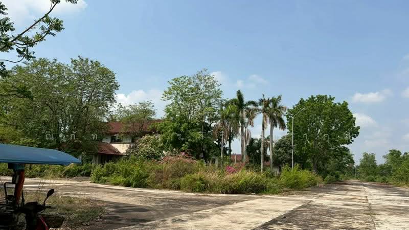 ขาย/เช่าที่ดิน พื้นที่+อาคาร 308 ไร่ ทำเลดี ใกล้นิคมอุตสาหกรรม ศรีมหาโพธิ ปราจีนบุรี (TL07-0126), ปราจีนบุรี, หนองโพรง, ศรีมหาโพธิ, ปราจีนบุรี, 492,800 ตร.ม., ที่ดิน ขาย, โดย ณภัทร พรสิริเมธากุล, 500258698 - DDproperty.com