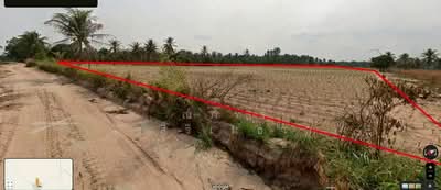 ขาย - ขายที่ดิน ผังสีม่วงลาย ทำเลศักยภาพสูง โซนบ่อวิน ศรีราชา ชลบุรี (TL07-0326), ชลบุรี