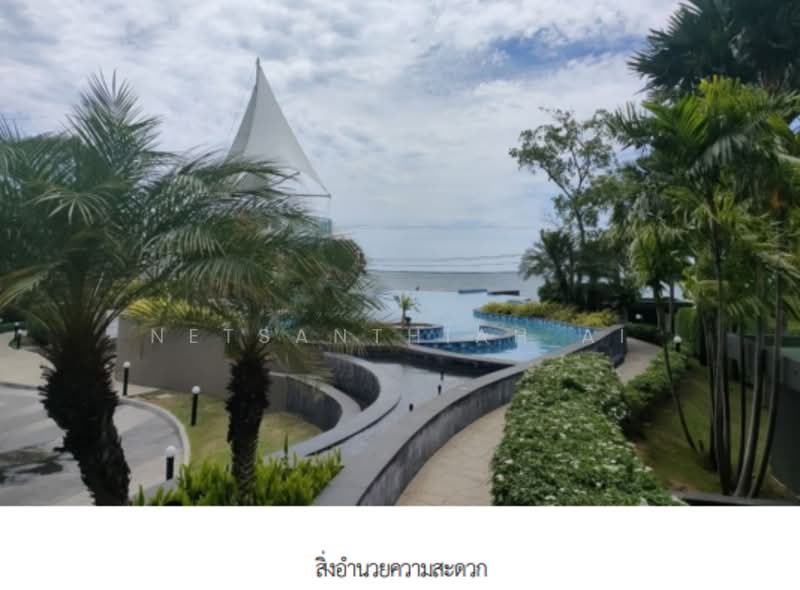 Del Mare Bangsaray Beachfront, Chon Buri (Pattaya), Soi Na-Jomtien 56, Sukhumvit Road, Bang Sa-re, Sattahip, Chon Buri (Pattaya), 1 Bedroom, 41 sqm, Condo For Sale, by Netsanthiah Ai, 500258726 - DDproperty.com