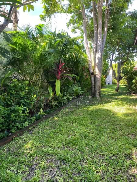 undefined, Prachuap Khiri Khan, Nong Kae, Hua Hin, Prachuap Khiri Khan, 3 Bedrooms, 183 sqm, Villa For Rent, by Thitiporn Pawikham, 500258747 - DDproperty.com