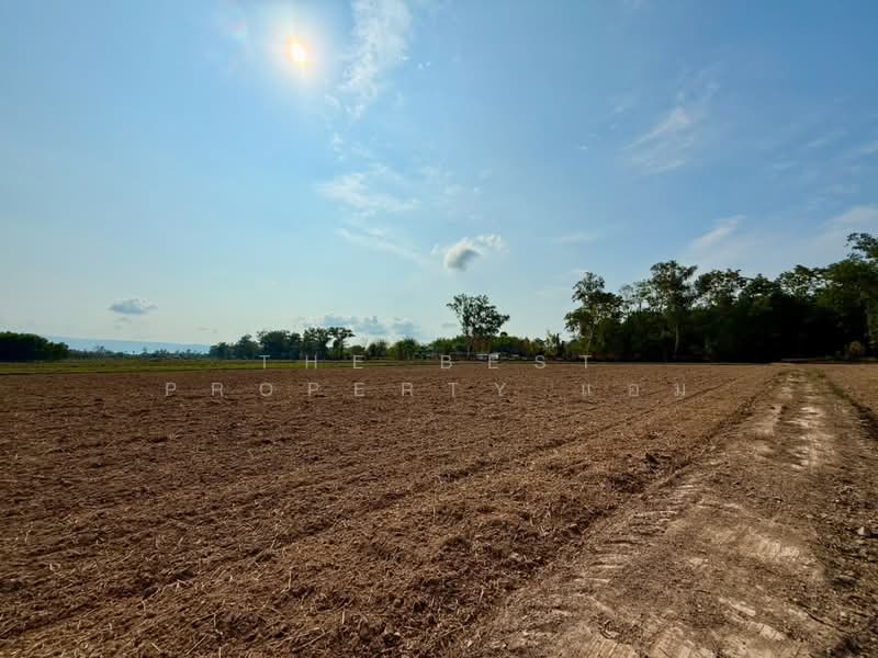 ที่ดินปากพลี นครนายก, Nakhon Nayok, Khok Kruat, Pak Phli, Nakhon Nayok, , 10,088 sqm, Land For Sale, by The Best Property แอม, 500258827 - DDproperty.com