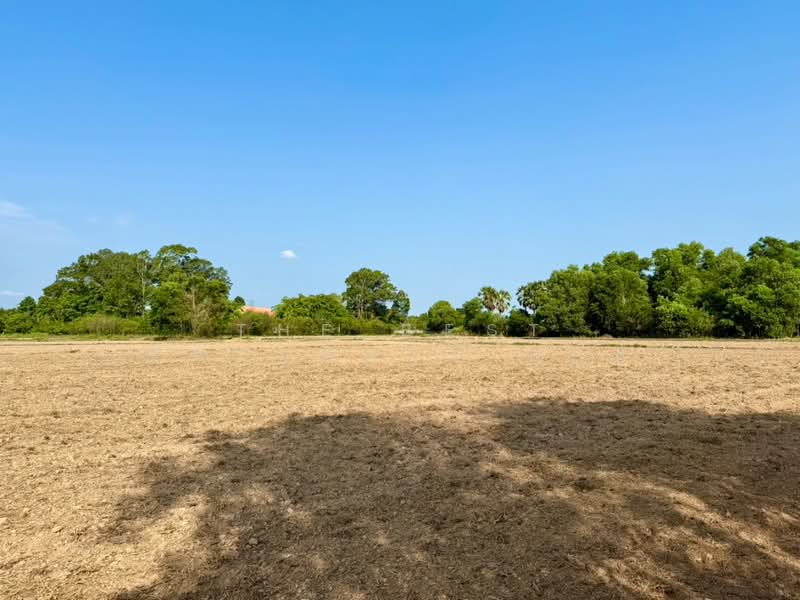ที่ดินปากพลี นครนายก, Nakhon Nayok, Khok Kruat, Pak Phli, Nakhon Nayok, , 10,088 sqm, Land For Sale, by The Best Property แอม, 500258827 - DDproperty.com