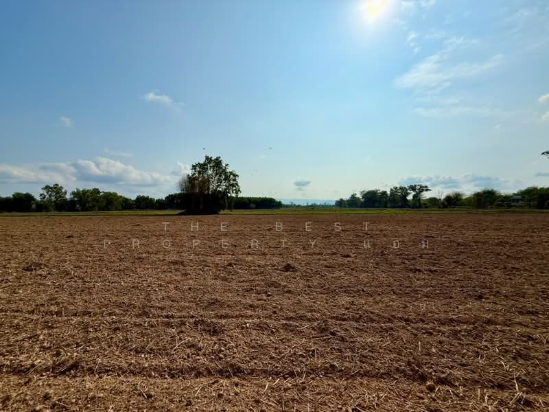 ที่ดินปากพลี นครนายก, Nakhon Nayok, Khok Kruat, Pak Phli, Nakhon Nayok, , 10,088 sqm, Land For Sale, by The Best Property แอม, 500258827 - DDproperty.com