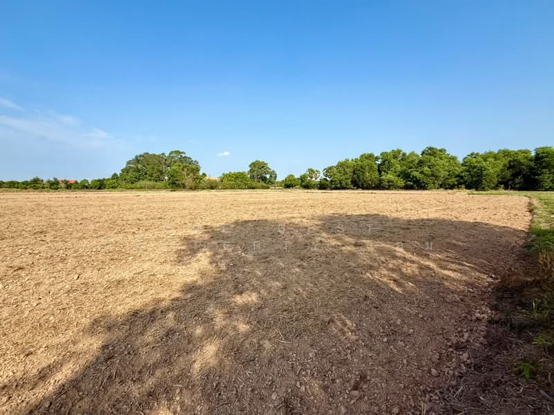 ที่ดินปากพลี นครนายก, Nakhon Nayok, Khok Kruat, Pak Phli, Nakhon Nayok, , 10,088 sqm, Land For Sale, by The Best Property แอม, 500258827 - DDproperty.com