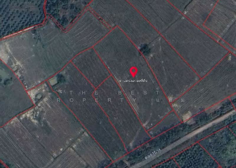 ที่ดินปากพลี นครนายก, Nakhon Nayok, Khok Kruat, Pak Phli, Nakhon Nayok, , 10,088 sqm, Land For Sale, by The Best Property แอม, 500258827 - DDproperty.com
