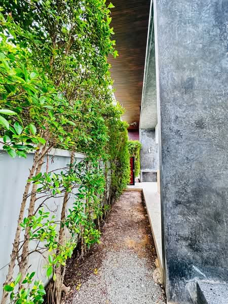 The 8 Pool Villa : ดิ เอท พูล วิลลา, ภูเก็ต, Soi Palai, ฉลอง, เมืองภูเก็ต, ภูเก็ต, 140 ตร.ม., วิลล่า ให้เช่า, โดย Prime Global Asset, 500258861 - DDproperty.com