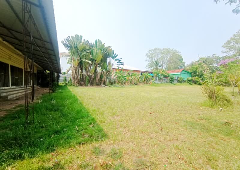 ที่ดินพังโคน สกลนคร, Sakon Nakhon, Phang Khon, Phang Khon, Sakon Nakhon, , 1,540 sqm, Land For Sale, by The Best Property ทราย, 500258985 - DDproperty.com