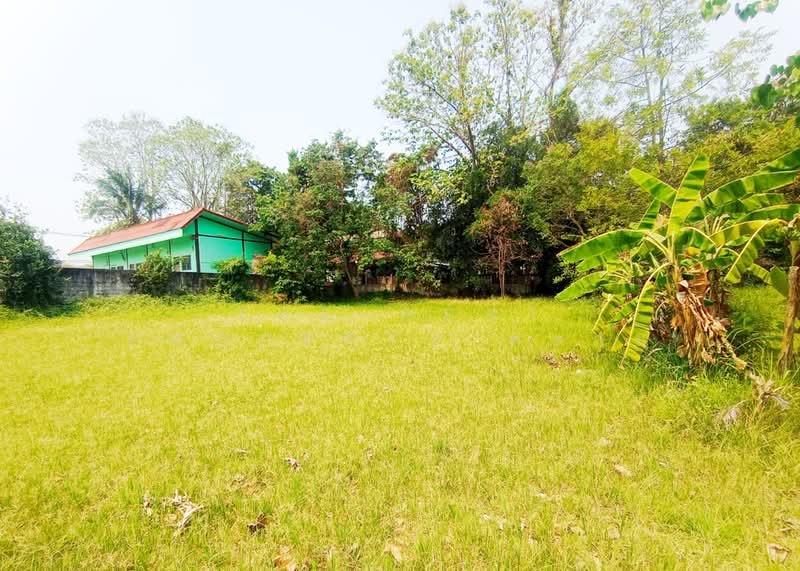 ที่ดินพังโคน สกลนคร, Sakon Nakhon, Phang Khon, Phang Khon, Sakon Nakhon, , 1,540 sqm, Land For Sale, by The Best Property ทราย, 500258985 - DDproperty.com