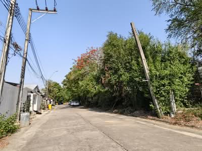 ขาย - บ้านและสวน ลากูน, กรุงเทพ