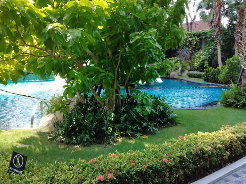 The Riviera Wongamat, Chon Buri (Pattaya), Na Kluea 16 Alley, Na Kloe, Bang Lamung (Pattaya), Chon Buri (Pattaya), 1 Bedroom, 35 sqm, Condo For Sale, by Thitiporn Pawikham, 500259092 - DDproperty.com