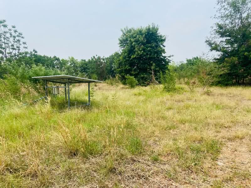 ที่ดินพล ขอนแก่น, ขอนแก่น, เก่างิ้ว, พล, ขอนแก่น, 4,824 ตร.ม., ที่ดิน ขาย, โดย The Best Property ปุ๊ก, 500259144 - DDproperty.com
