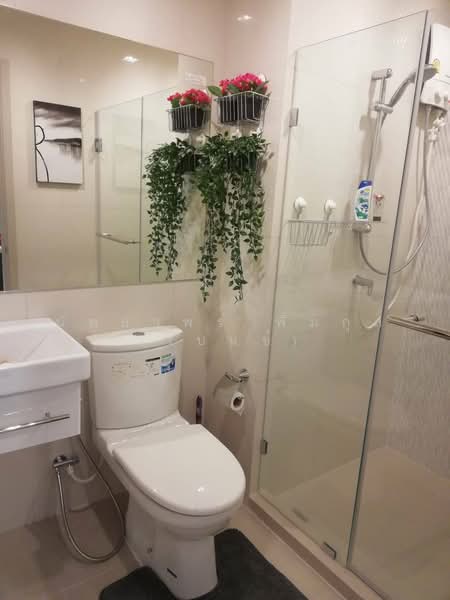 Life Sukhumvit 48, Bangkok, Soi Sukhumvit 48, Phra Kanong, Khlong Toei, Bangkok, 1 Bedroom, 40 sqm, Condo For Rent, by Nattayaporn Peumkul (Benz), 500259183 - DDproperty.com