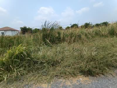 ขาย - ที่ดินเปล่า 1 ไร่ ซอยไทยรามัญ สามวาตะวันตก มีนบุรี กรุงเทพๆ, กรุงเทพ