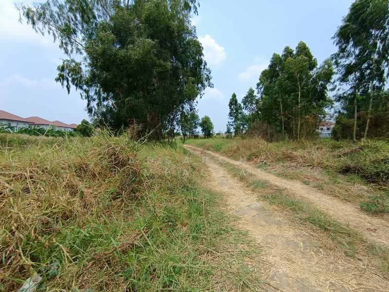 ที่ดินเปล่า 1 ไร่ ซอยไทยรามัญ สามวาตะวันตก มีนบุรี กรุงเทพๆ, Bangkok, Sam Wa Tawan Tok, Khlong Sam Wa, Bangkok, , 1,600 sqm, Land For Sale, by Tadsapong Pimpachad, 500259269 - DDproperty.com