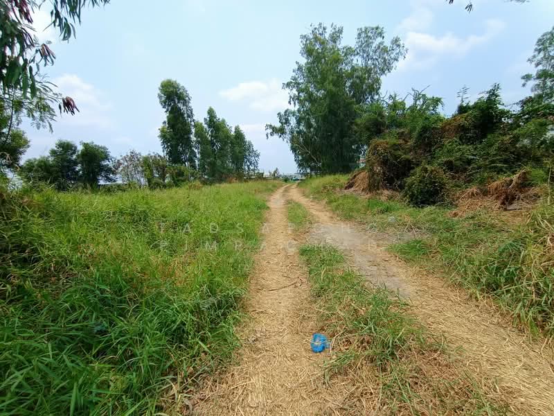 ที่ดินเปล่า 1 ไร่ ซอยไทยรามัญ สามวาตะวันตก มีนบุรี กรุงเทพๆ, Bangkok, Sam Wa Tawan Tok, Khlong Sam Wa, Bangkok, , 1,600 sqm, Land For Sale, by Tadsapong Pimpachad, 500259269 - DDproperty.com