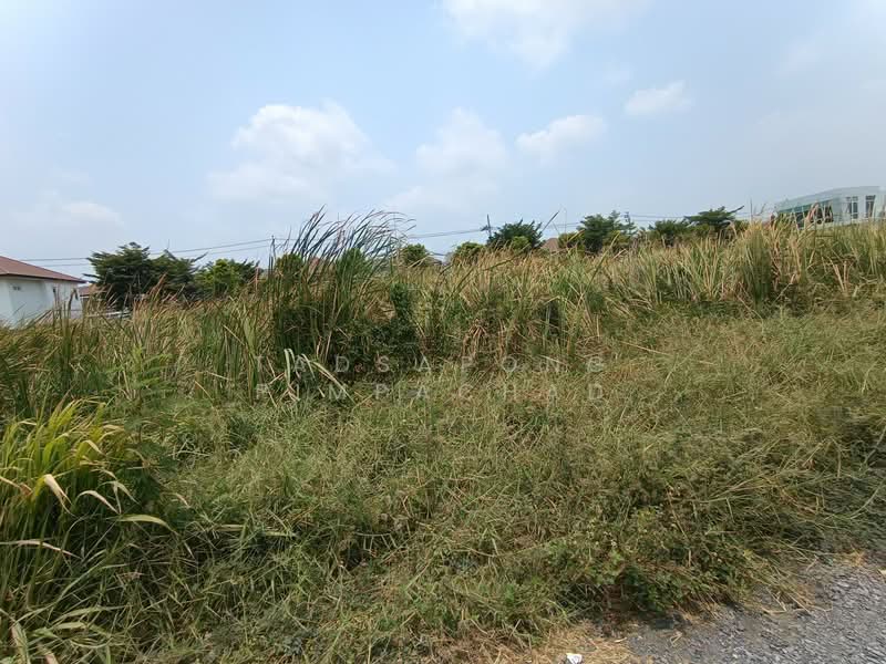 ที่ดินเปล่า 1 ไร่ ซอยไทยรามัญ สามวาตะวันตก มีนบุรี กรุงเทพๆ, Bangkok, Sam Wa Tawan Tok, Khlong Sam Wa, Bangkok, , 1,600 sqm, Land For Sale, by Tadsapong Pimpachad, 500259269 - DDproperty.com