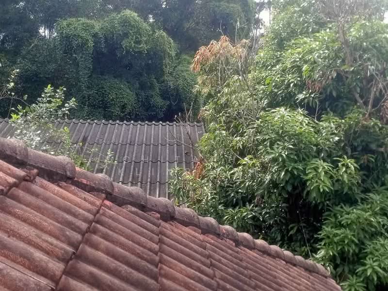 4-BR House, Surat Thani, Makham Tia, Muang Surat Thani, Surat Thani, 4 Bedrooms, 220 sqm, Single Detached House For Sale, by Achitaphop Klinpipat, 500259280 - DDproperty.com