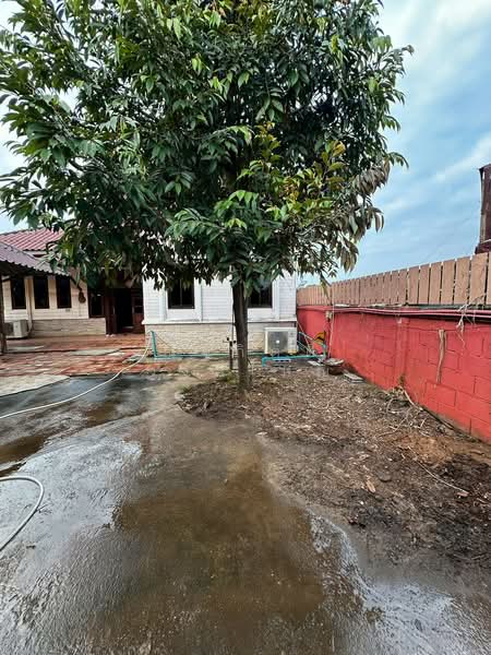 ขายบ้านเดี่ยว เชียงราย แม่สาย, Chiang Rai, Mae Sai, Mae Sai, Chiang Rai, 6 Bedrooms, 200 sqm, Single Detached House For Sale, by ณัฐกิตติ์ วงศ์ใหญ่, 500259311 - DDproperty.com