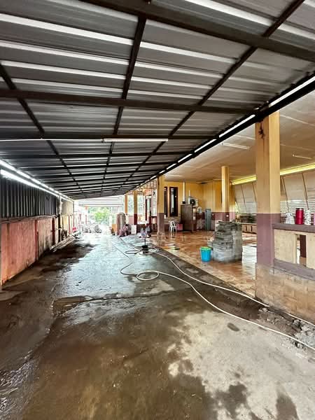 ขายบ้านเดี่ยว เชียงราย แม่สาย, Chiang Rai, Mae Sai, Mae Sai, Chiang Rai, 6 Bedrooms, 200 sqm, Single Detached House For Sale, by ณัฐกิตติ์ วงศ์ใหญ่, 500259311 - DDproperty.com