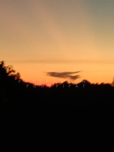 undefined, Surat Thani, Ko Phangan, Ko Phangan, Surat Thani, 3 Bedrooms, 300 sqm, Villa For Sale, by Pattanapong Pongpipat, 500259356 - DDproperty.com