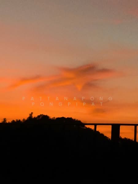 undefined, Surat Thani, Ko Phangan, Ko Phangan, Surat Thani, 3 Bedrooms, 300 sqm, Villa For Sale, by Pattanapong Pongpipat, 500259356 - DDproperty.com