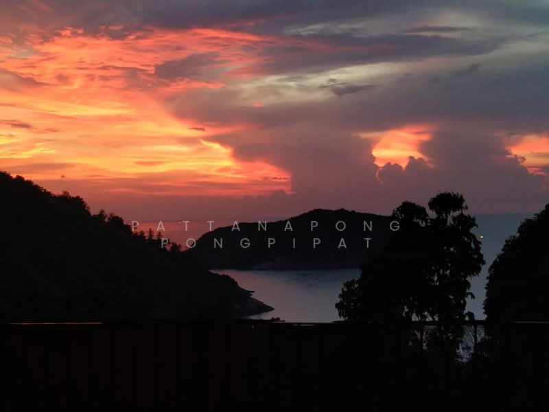 undefined, Surat Thani, Ko Phangan, Ko Phangan, Surat Thani, 3 Bedrooms, 300 sqm, Villa For Sale, by Pattanapong Pongpipat, 500259356 - DDproperty.com