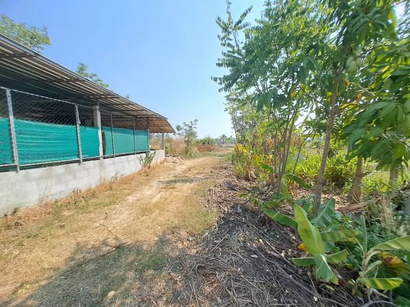 ที่ดินสะอาดสมบูรณ์ ร้อยเอ็ด, ร้อยเอ็ด, สะอาดสมบูรณ์, เมืองร้อยเอ็ด, ร้อยเอ็ด, 8,676 ตร.ม., ที่ดิน ขาย, โดย The Best Property แหม่ม, 500259428 - DDproperty.com