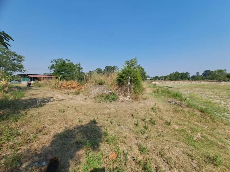 ที่ดินสะอาดสมบูรณ์ ร้อยเอ็ด, Roi Et, Sa-at Sombun, Muang Roi Et, Roi Et, , 8,676 sqm, Land For Sale, by The Best Property แหม่ม, 500259428 - DDproperty.com