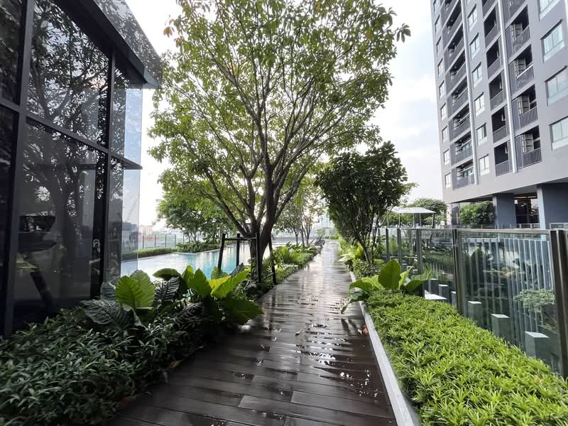 IDEO Sukhumvit Rama 4, Bangkok, Soi Sukhumvit 44, Sukhumvit Road, Phra Kanong, Khlong Toei, Bangkok, 1 Bedroom, 44 sqm, Condo For Rent, by คุณรวีวรรณ อู่เงิน, 500259447 - DDproperty.com