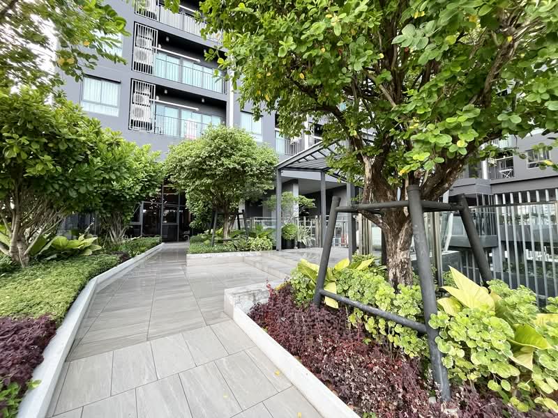 IDEO Sukhumvit Rama 4, Bangkok, Soi Sukhumvit 44, Sukhumvit Road, Phra Kanong, Khlong Toei, Bangkok, 1 Bedroom, 44 sqm, Condo For Rent, by คุณรวีวรรณ อู่เงิน, 500259447 - DDproperty.com
