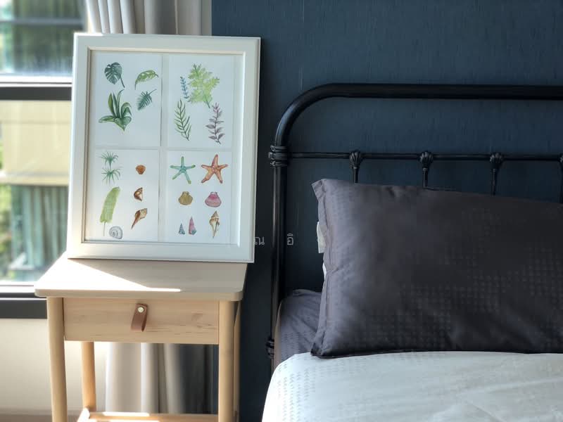 Rain Cha Am-Hua Hin : เรน ชะอำ - หัวหิน, เพชรบุรี, 429 ถนนเพชรเกษม, ชะอำ, ชะอำ, เพชรบุรี, 61 ตร.ม., คอนโด ขาย, โดย คุณอิง, 500259456 - DDproperty.com