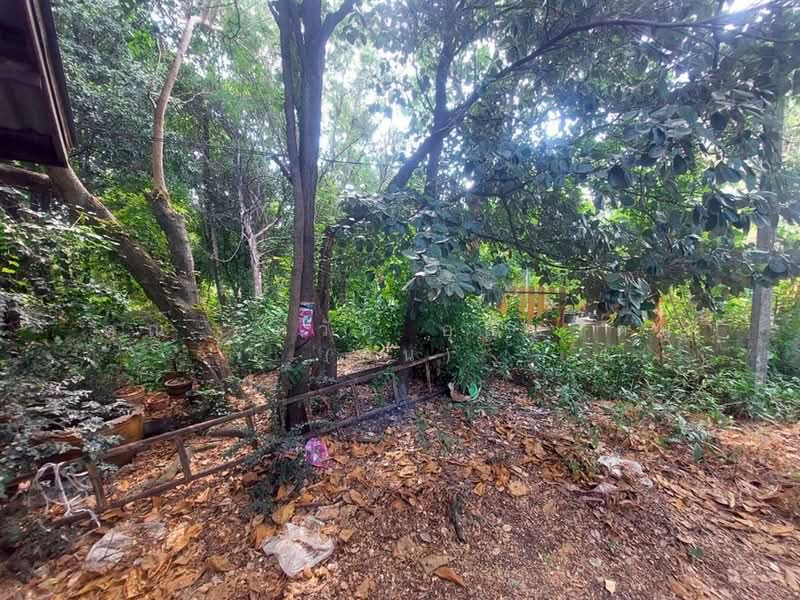 ที่ดินเปล่า 7 ไร่ 72 ตร.ว. ที่ดินเปล่า ซอยบางโปรง11 (ซอยวัดสวนส้ม) ที่ดินถนนปู่เจ้าสมิงพราย, สมุทรปราการ, ถนนปู่เจ้าสมิงพราย, บางโปรง, เมืองสมุทรปราการ, สมุทรปราการ, 11,488 ตร.ม., ที่ดิน ขาย, โดย คุณ ภควัต อุณหรัตน์ (อ้น), 500259633 - DDproperty.com