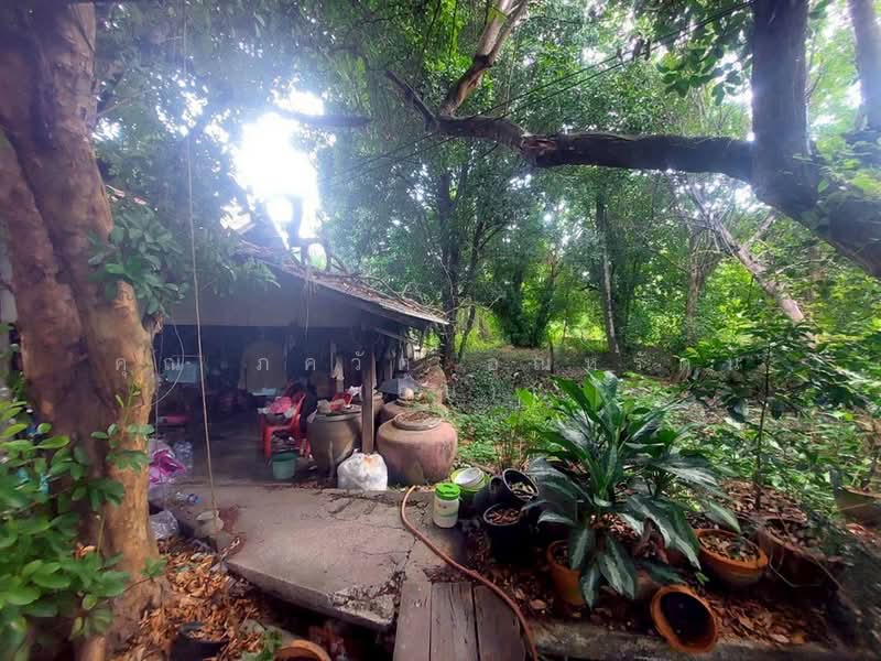 ที่ดินเปล่า 7 ไร่ 72 ตร.ว. ที่ดินเปล่า ซอยบางโปรง11 (ซอยวัดสวนส้ม) ที่ดินถนนปู่เจ้าสมิงพราย, สมุทรปราการ, ถนนปู่เจ้าสมิงพราย, บางโปรง, เมืองสมุทรปราการ, สมุทรปราการ, 11,488 ตร.ม., ที่ดิน ขาย, โดย คุณ ภควัต อุณหรัตน์ (อ้น), 500259633 - DDproperty.com