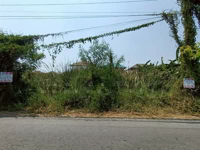 ขาย - ที่ดินเปล่า 64 ตร.ว. ที่ดิน ซอยข้างหมู่บ้านเศรณีวิลล่า ถนนกาญจนาภิเษก บางบัวทอง นนทบุรี, นนทบุรี