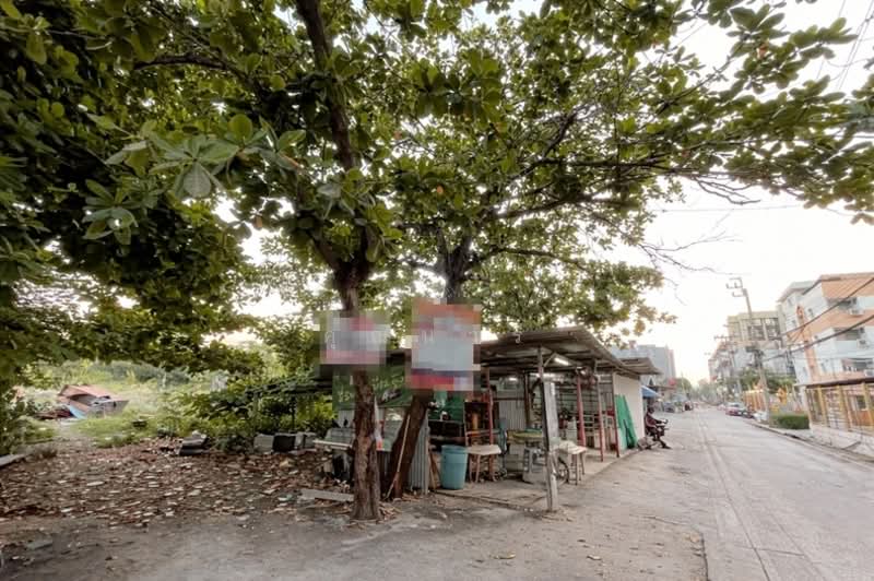 ขายที่ดินเปล่า 382 ตรว. พหลโยธิน 52 สายไหม ใกล้รถไฟฟ้า หน้ากว้าง ติดทางสาธารณะ, กรุงเทพ, ถนนพหลโยธิน 52, คลองถนน, สายไหม, กรุงเทพ, 1,528 ตร.ม., ที่ดิน ขาย, โดย คุณนารี, 500259702 - DDproperty.com