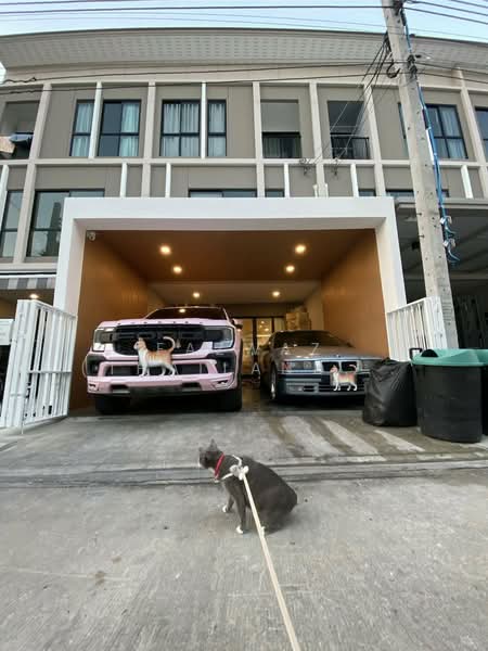 Patio Srinakarin-Rama 9, Bangkok, Krungthep Kreetha Road, Hua Mak, Bang Kapi, Bangkok, 4 Bedrooms, 161 sqm, Townhouse For Rent, by Fazwaz (Thailand) Co., Ltd., 500259745 - DDproperty.com