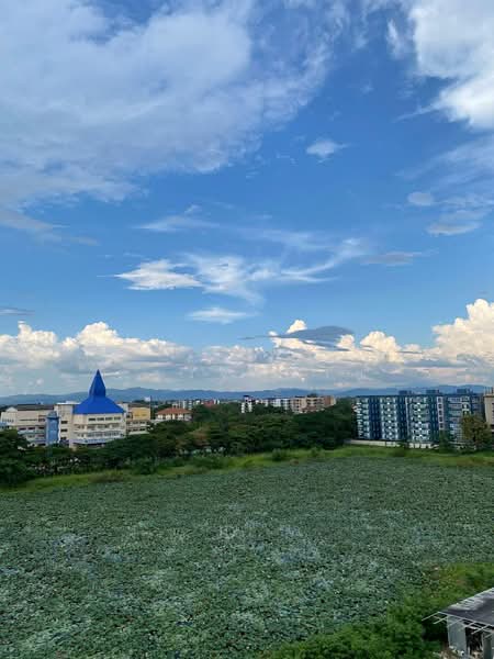 The Treasure Condominium by My Hip, Chiang Mai, 96 Chiang Mai Business Park Road (CBP) Soi 6, Nong Pa Krang, Muang Chiang Mai, Chiang Mai, 1 Bedroom, 35 sqm, Condo For Sale, by วราพร ตางจงราช, 500259749 - DDproperty.com