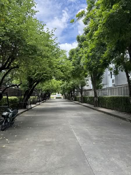 Nirvana Beyond Rama 9-Ramkhamhaeng : เนอวานา บียอนด์ พระราม 9-รามคำแหง, กรุงเทพ, ถนน พระราม 9, สวนหลวง, สวนหลวง, กรุงเทพ, 240 ตร.ม., บ้านเดี่ยว ขาย, โดย Itthiwat Chulaolan, 500259775 - DDproperty.com