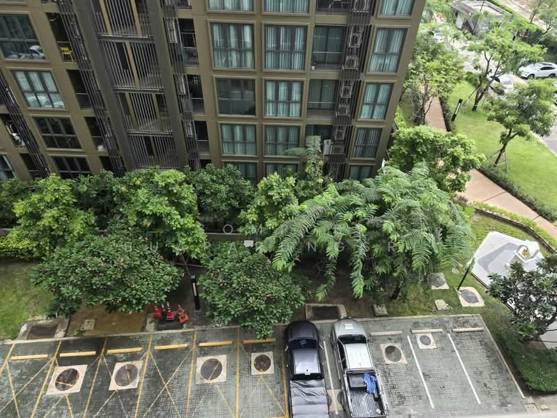 Supalai Veranda Rama 9, Bangkok, 349 Rama 9, Bang Kapi, Huai Khwang, Bangkok, 1 Bedroom, 38 sqm, Condo For Rent, by Sompob Buaparungsri, 500259797 - DDproperty.com