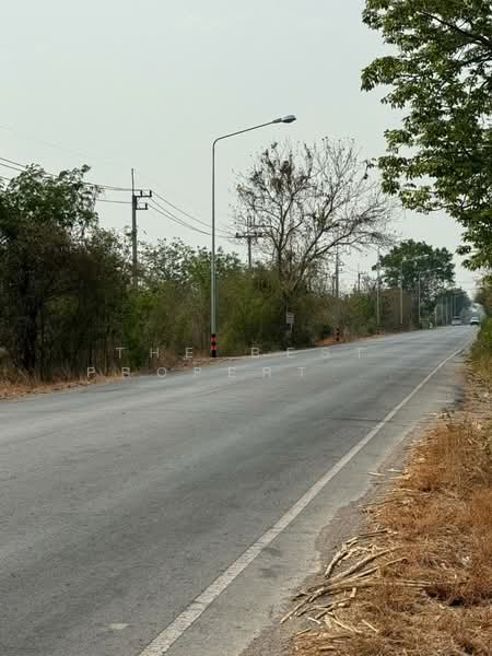 ที่ดินสระโบสถ์ ลพบุรี, Lop Buri, Niyomchai, Sra Bot, Lop Buri, , 8,800 sqm, Land For Sale, by The Best Property Agent แอม, 500259807 - DDproperty.com