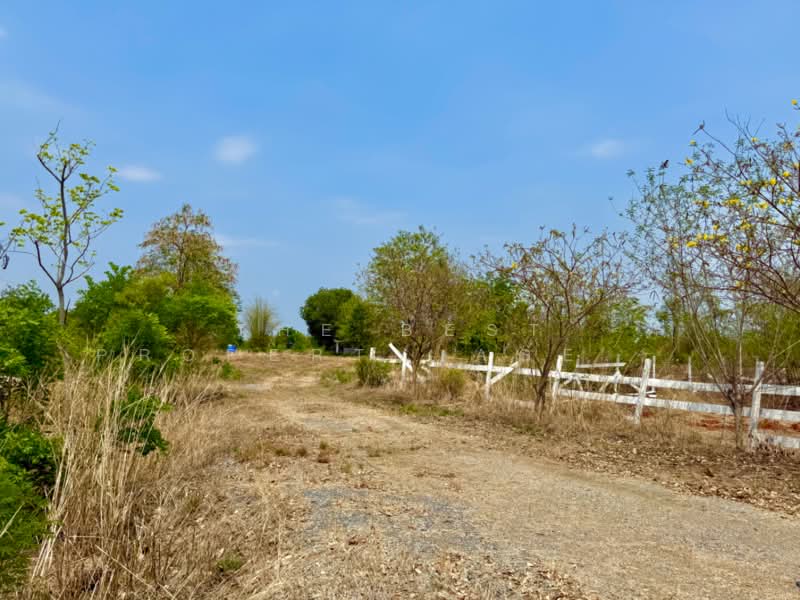 For Sale - ที่ดินสระโบสถ์ ลพบุรี, Lop Buri