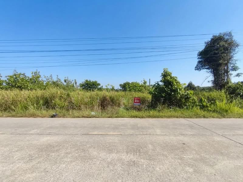 For Sale - ที่ดินแกลง ระยอง, Rayong