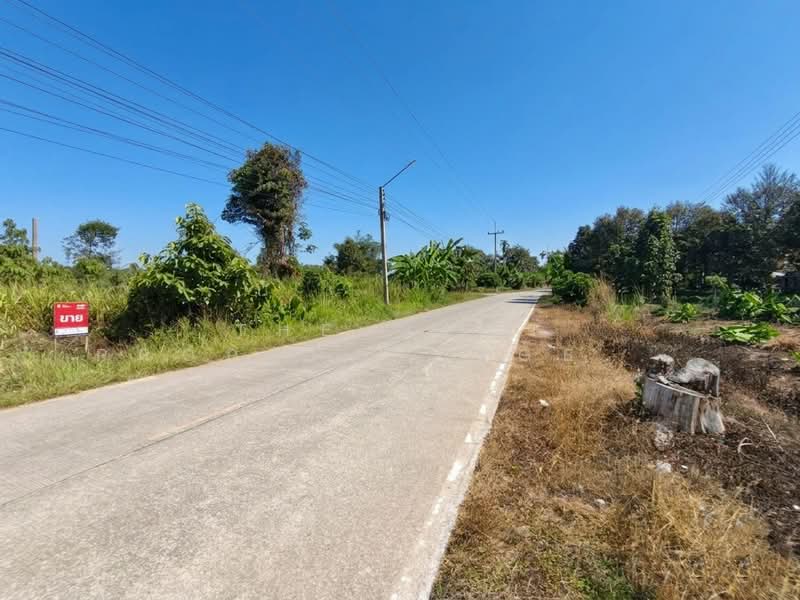 For Sale - ที่ดินแกลง ระยอง, Rayong