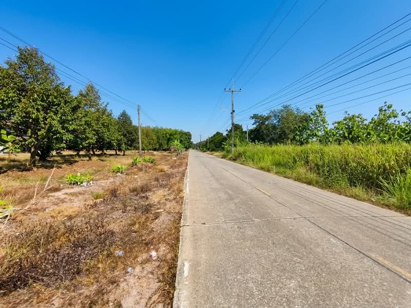 For Sale - ที่ดินแกลง ระยอง, Rayong