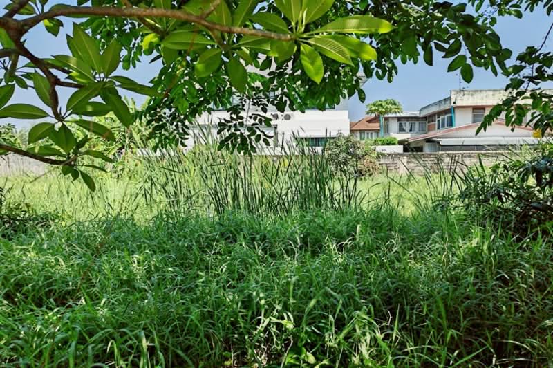 ซอยแจ้งวัฒนะ 14, Bangkok, Thung Song Hong, Lak Si, Bangkok, , 400 sqm, Land For Sale, by คุณเจษ, 500259892 - DDproperty.com