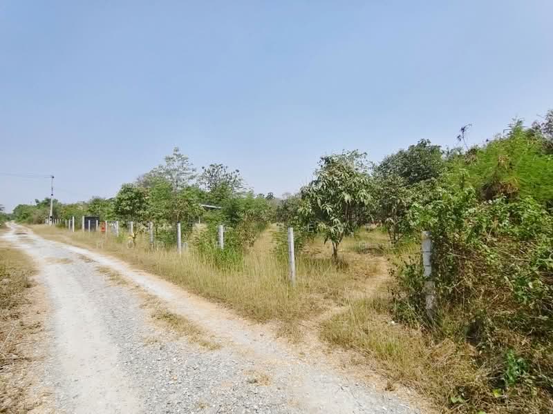 ที่ดินกำแพงแสน นครปฐม, Nakhon Pathom, Tarang Phikul, Kamphaeng Saen, Nakhon Pathom, , 1,672 sqm, Land For Sale, by The Best Property Agent มล, 500259956 - DDproperty.com