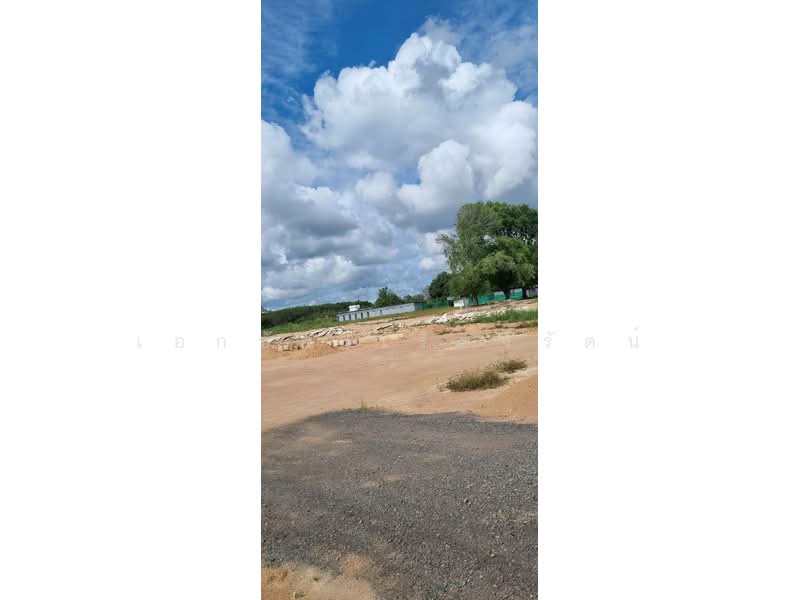 ขายที่ดิน 22ไร่ ระยอง ทำเลนิคมพัฒนา (ไร่ละ 2.9), ระยอง, มะขามคู่, นิคมพัฒนา, ระยอง, 35,200 ตร.ม., ที่ดิน ขาย, โดย เอกชัย เรืองรัตน์, 500260036 - DDproperty.com