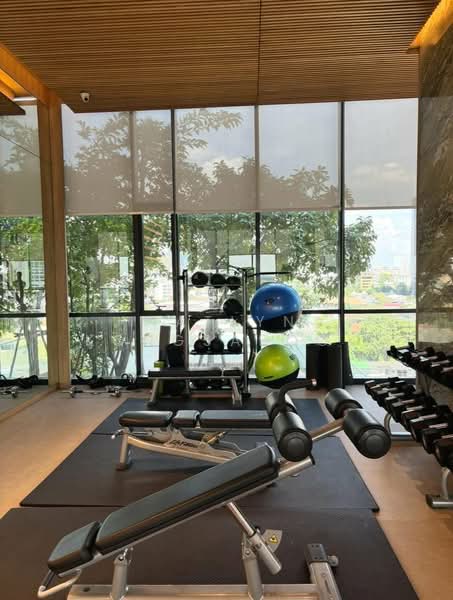 Oka Haus Sukhumvit 36, Bangkok, 3399 Rama 4 Road, Khong Tan, Khlong Toei, Bangkok, 1 Bedroom, 36 sqm, Condo For Rent, by Natlyn Kongsapook, 500260059 - DDproperty.com