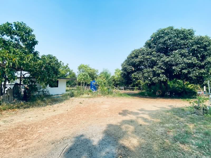 ขาย - บ้านเดี่ยวพร้อมสวนแก่งกระจาน เพชรบุรี, เพชรบุรี