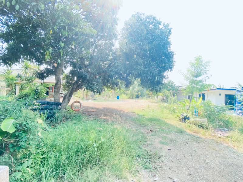 ขาย - บ้านเดี่ยวพร้อมสวนแก่งกระจาน เพชรบุรี, เพชรบุรี